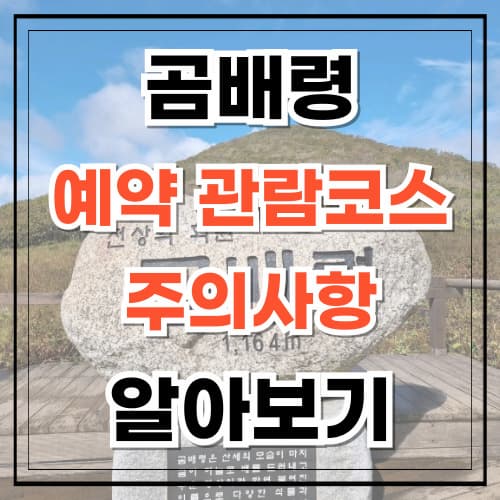 곰배령 예약 관람코스 주의사항 알아보기