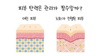 노화피부의 탄력도