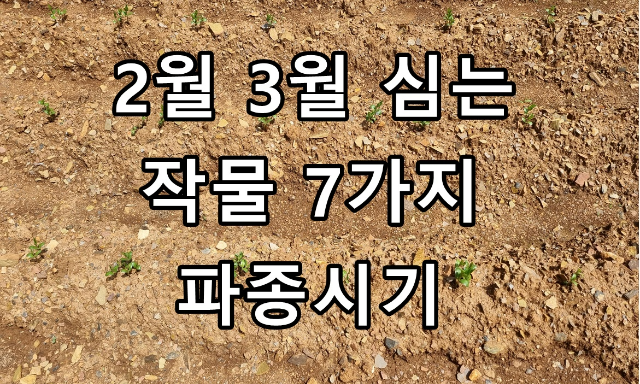 농사짓기 2월 3월에 심는 작물 7가지 파종시기