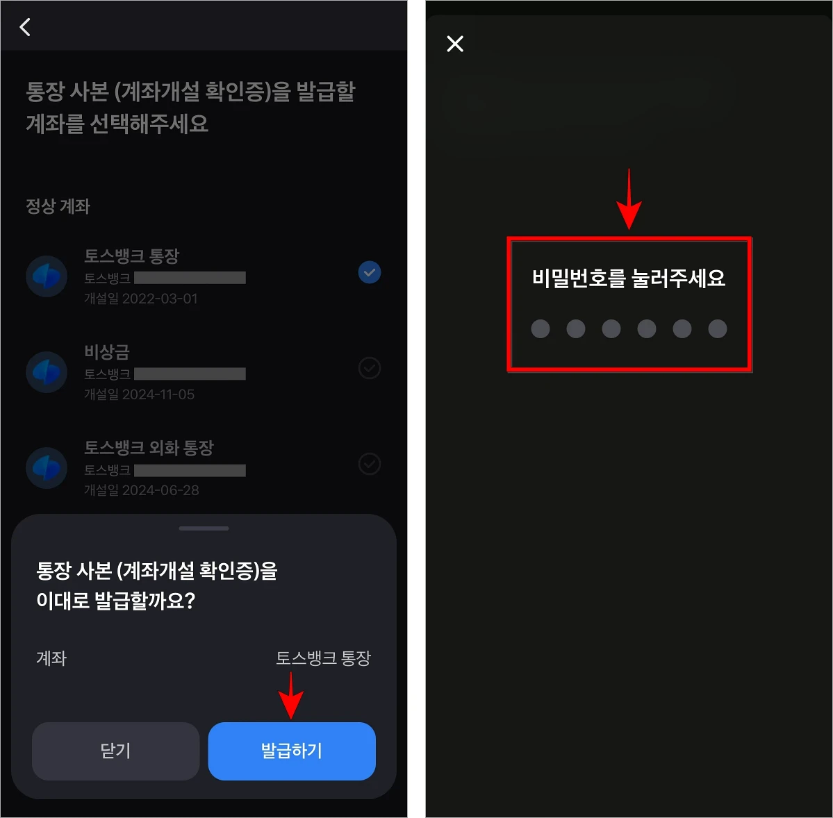 내용을 확인하고 '발급하기'를 선택한 후 비밀번호를 입력
