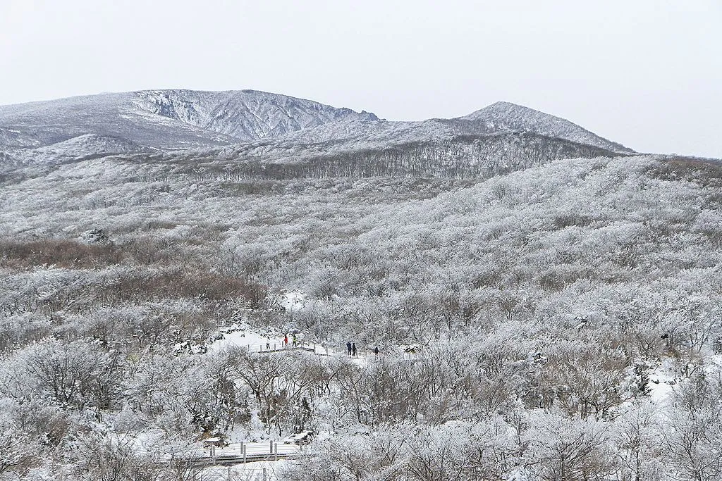 겨울 산행 추천장소인 한라산. 눈에 덮힌 한라산의 설경.