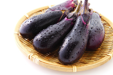 가지 효능