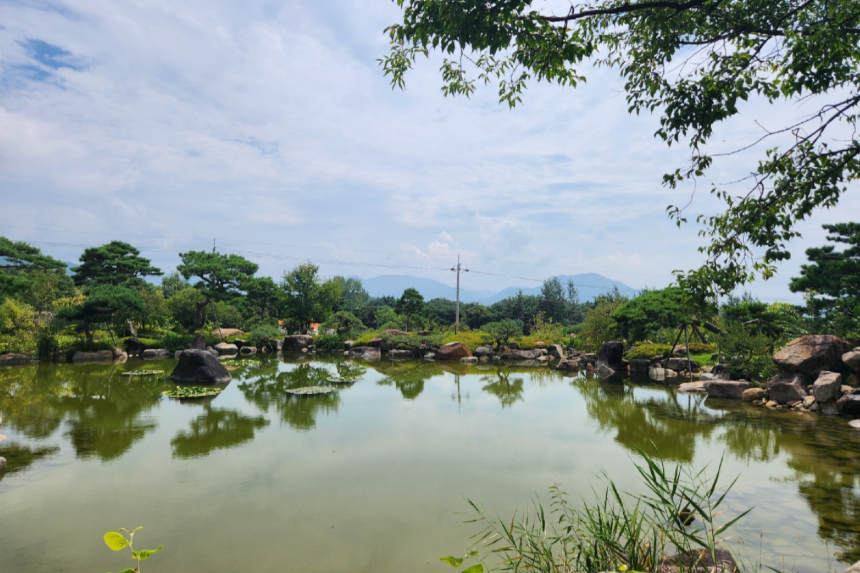 특색 있고 아름다운 민간 정원 30선 추천 여행 - 15. 구례 반야원 &amp; 플라타너스