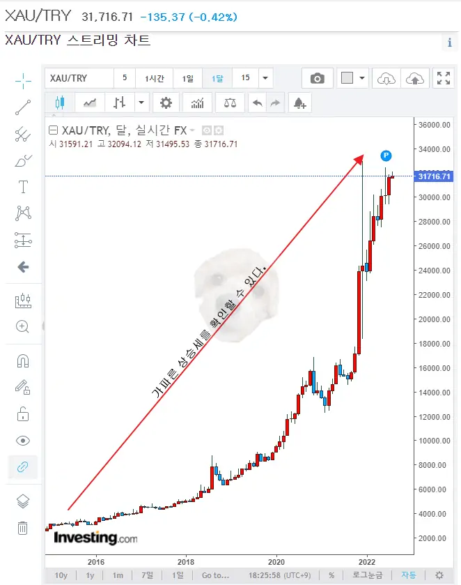 터키 리리화 금 시세