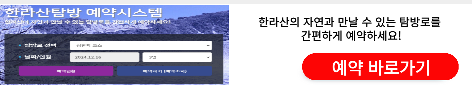 2025 한라산 등반 근처 픽업 숙소 추천 TOP5 완벽가이드!(한라산 탐방예약,새해일출)