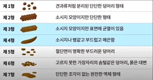 똥의 모양으로 건강상태를 체크해보세요!