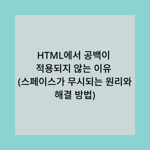 HTML의 공백