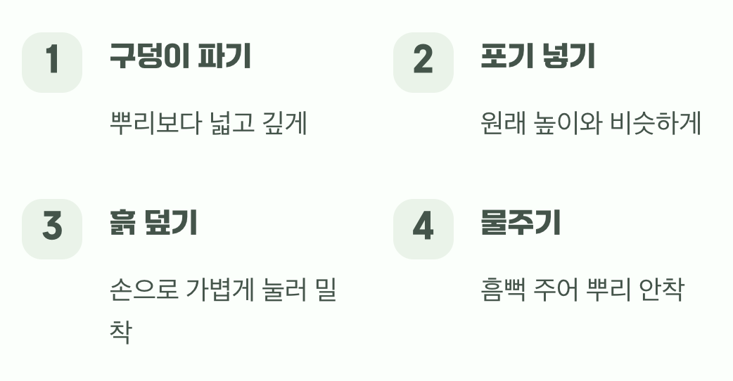 새 집에 정착시키는 방법