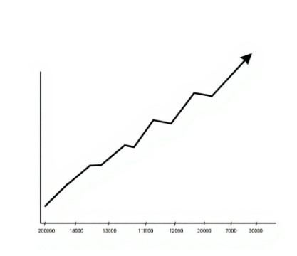효모스페르미딘-가격-추천-제품