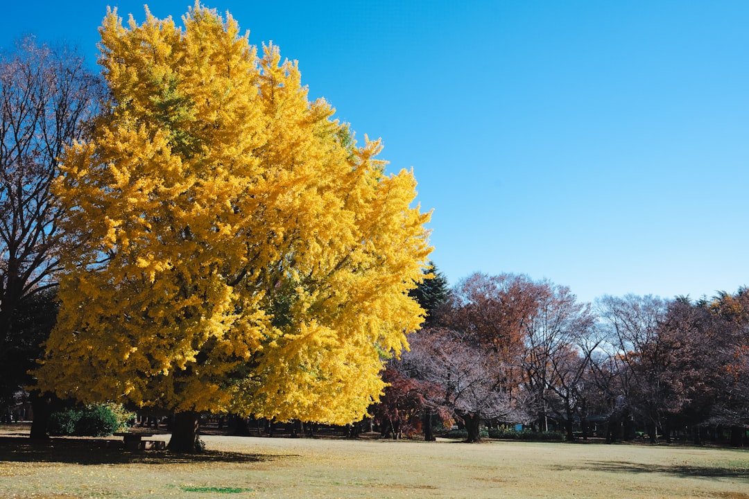 Seasonal change