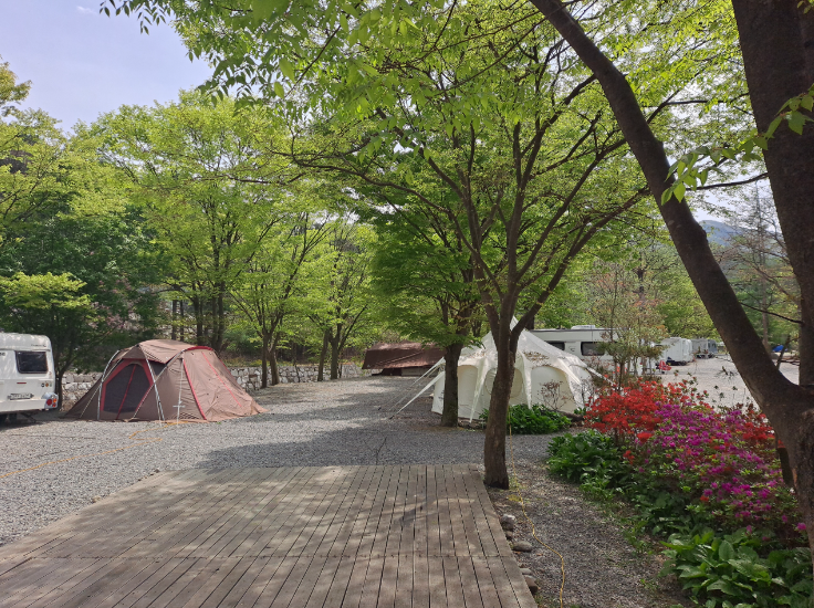 경기-가평-밤벌-캠핑장-사진-입니다.
