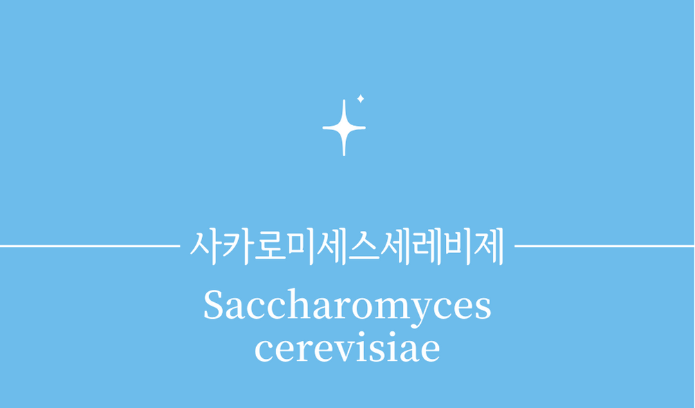 &#39;사카로미세스 세레비제(Saccharomyces cerevisiae)&#39;