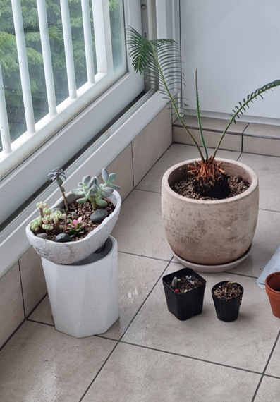 포쉐린타일-베란다