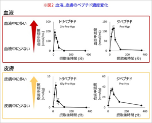 저분자콜라겐트리펩타이드