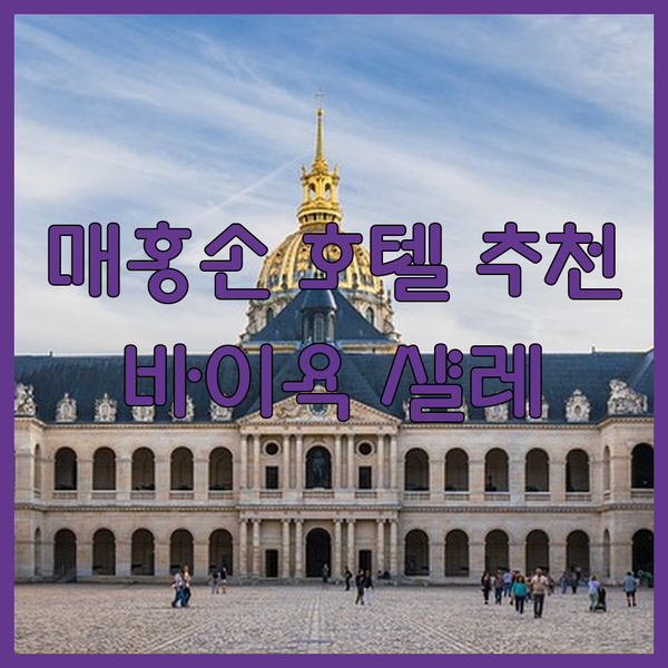 가성비 끝판왕 매홍손 호텔 추천 바이