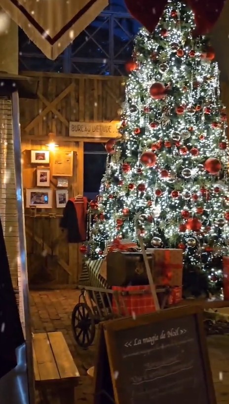 서울 근교 크리스마스트리 예쁜 카페 Best 5