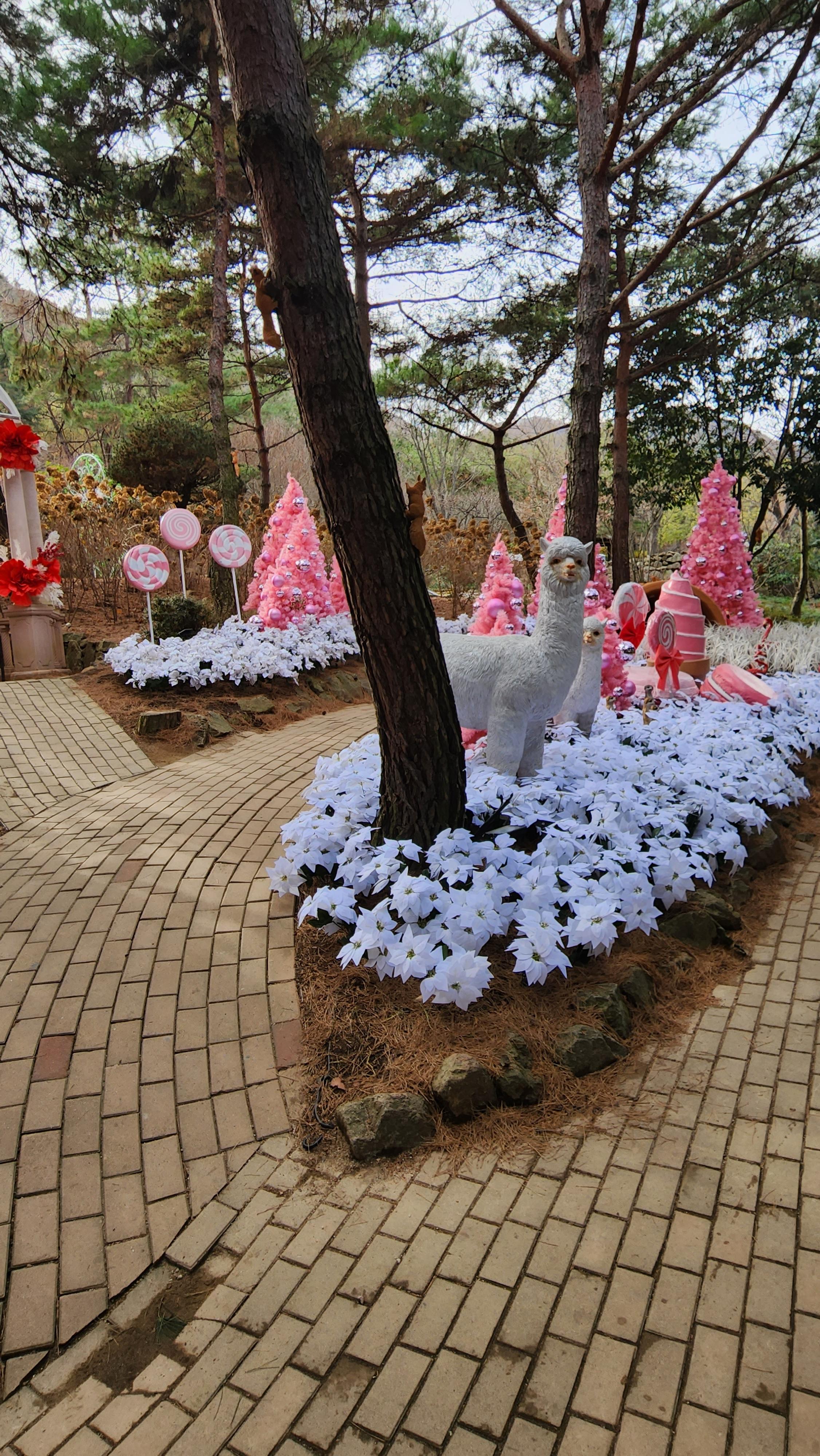 대구-네이처파크