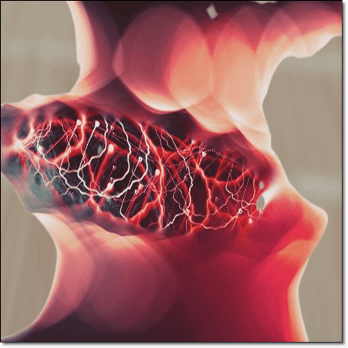 이상지질혈증 증상