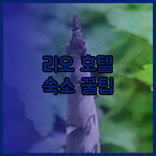 리오데자네이루 호텔 완벽 분석 여행객