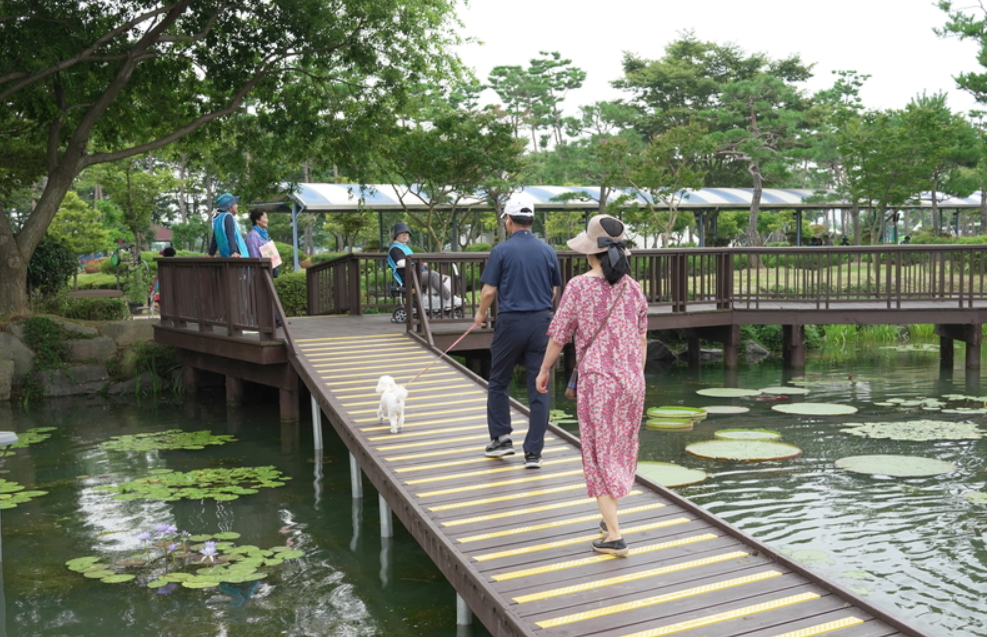 무안 연꽃축제 일정 장소 공연 행사 주차