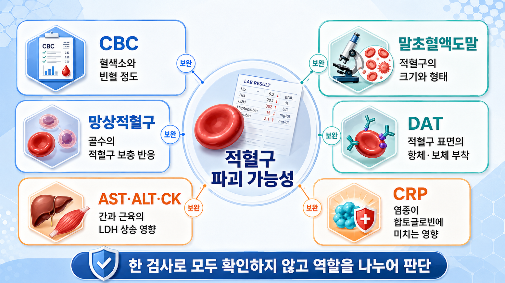 용혈 관련 검사별 역할과 CBC, 망상적혈구, 말초혈액도말, DAT, AST·ALT·CK, CRP의 확인 정보를 정리한 의료 인포그래픽