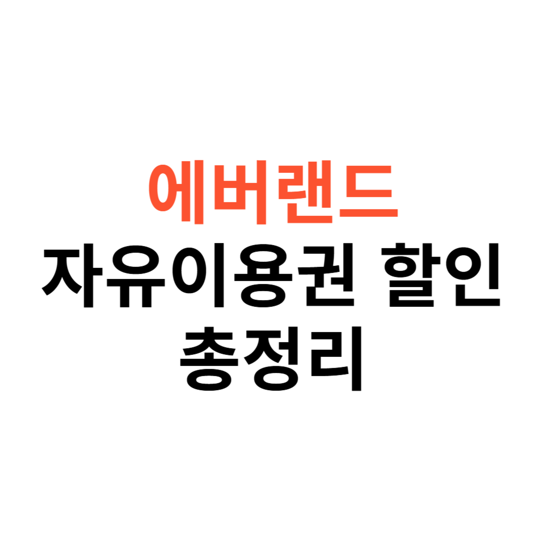 에버랜드 자유이용권