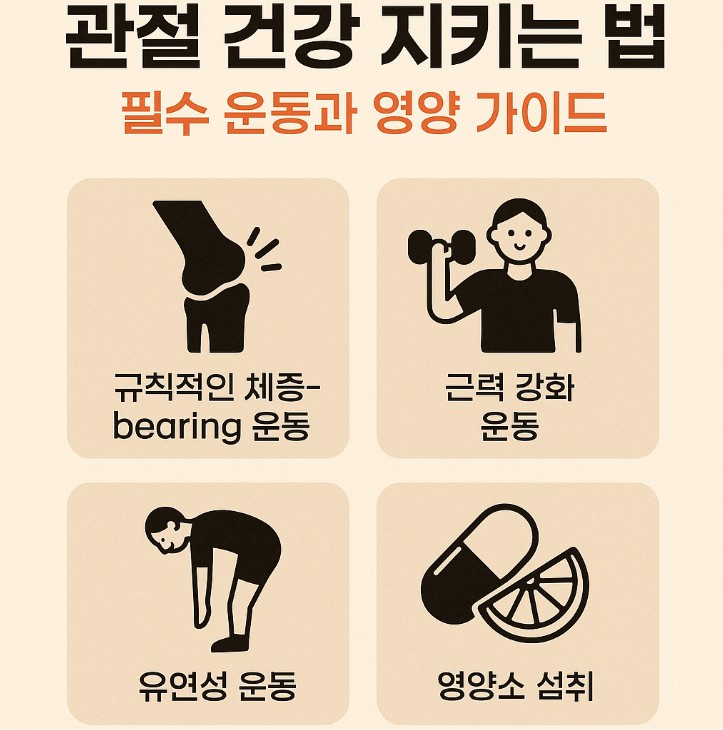 관절 건강을 지키는 방법을 안내하는 한국어 인포그래픽. 유산소 운동, 근력 운동, 유연성 운동, 그리고 영양 섭취 등 4가지 필수 요소를 아이콘과 함께 소개