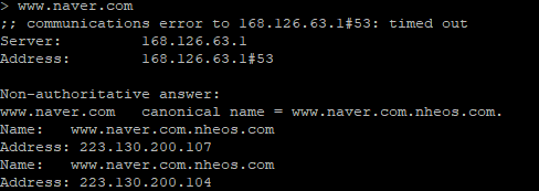 dns4.png