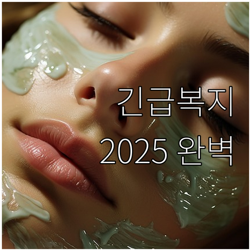 2025 서울시 긴급복지: 소득 기준..
