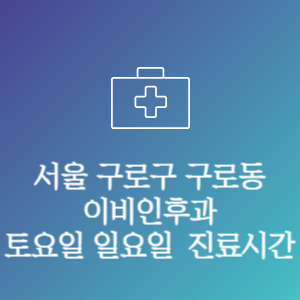 서울 구로구 구로동 이비인후과 주말 토요일 일요일 문여는 병원 진료시간