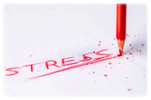 스트레스가 쓰여진 페이퍼의 이미지