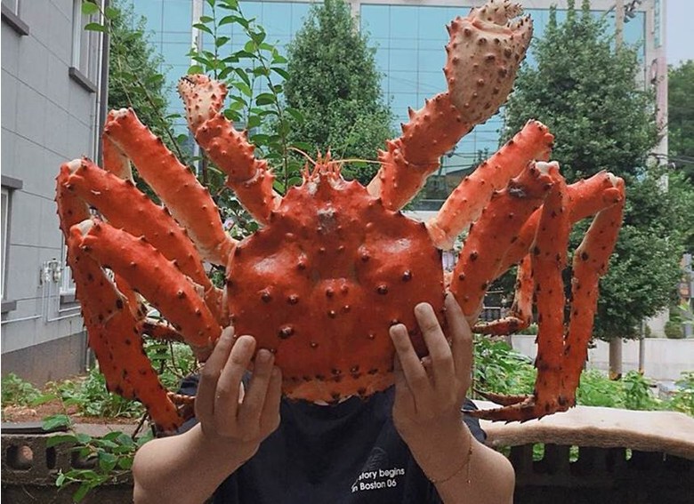 킹크랩 싸게 파는 곳