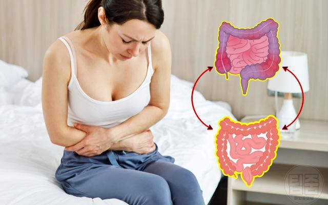 과민성대장증후군 유산균 추천