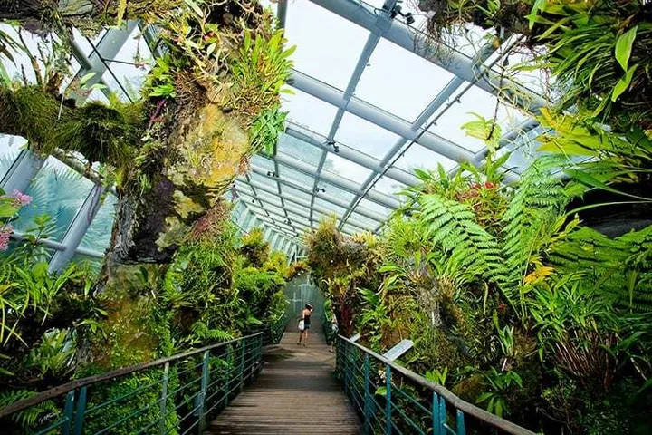 내셔널오키드가든