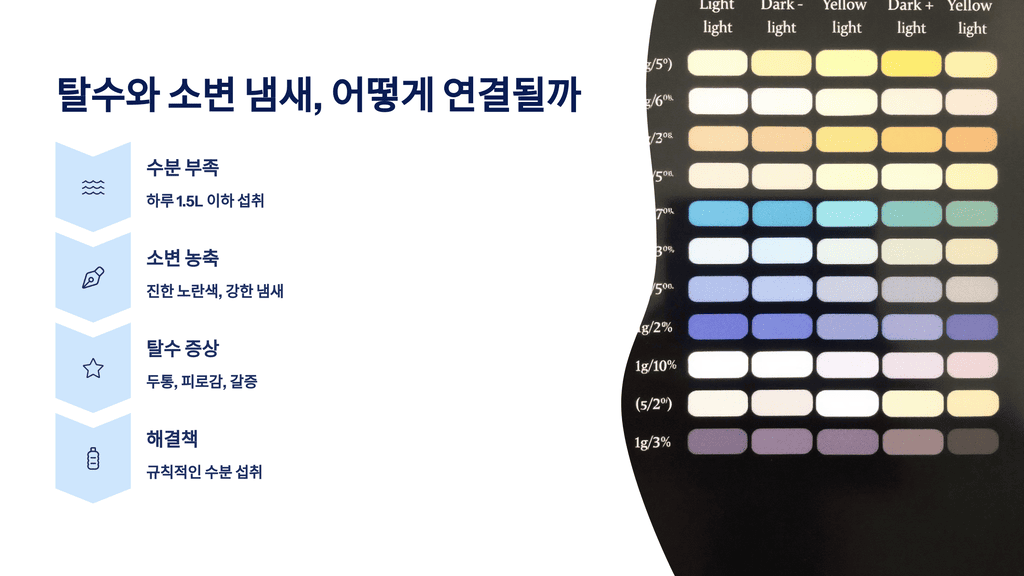 탈수와 소변 냄새, 어떻게 연결될까?