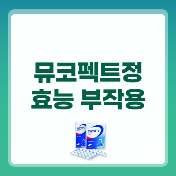 뮤코펙트정 효능 복용법 부작용 가격