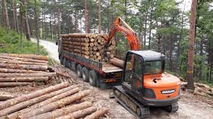 임업경영체 등록조건