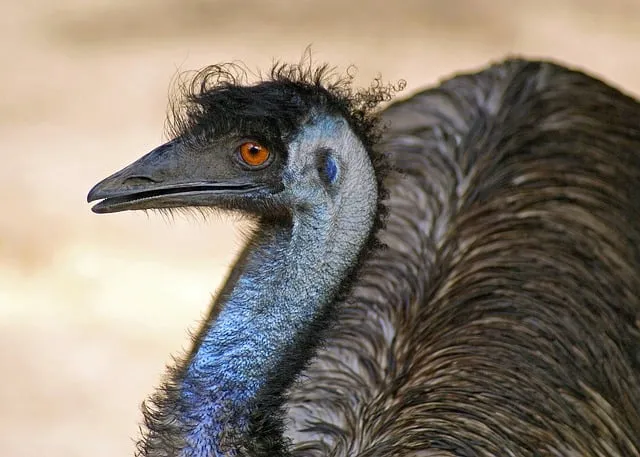 신나는 최신 트로트 노래모음 무료 듣기 바로가기 완벽 음악 스트리밍_1