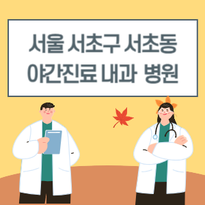 서초구 서초동 야간진료 내과 병원 리스트 (18시 이후 늦게까지하는 병원)