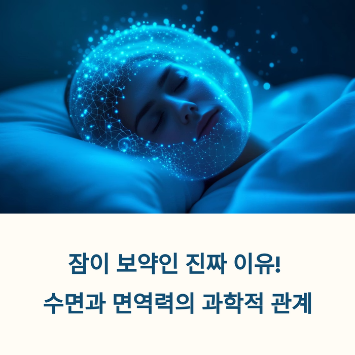 건강 의료
