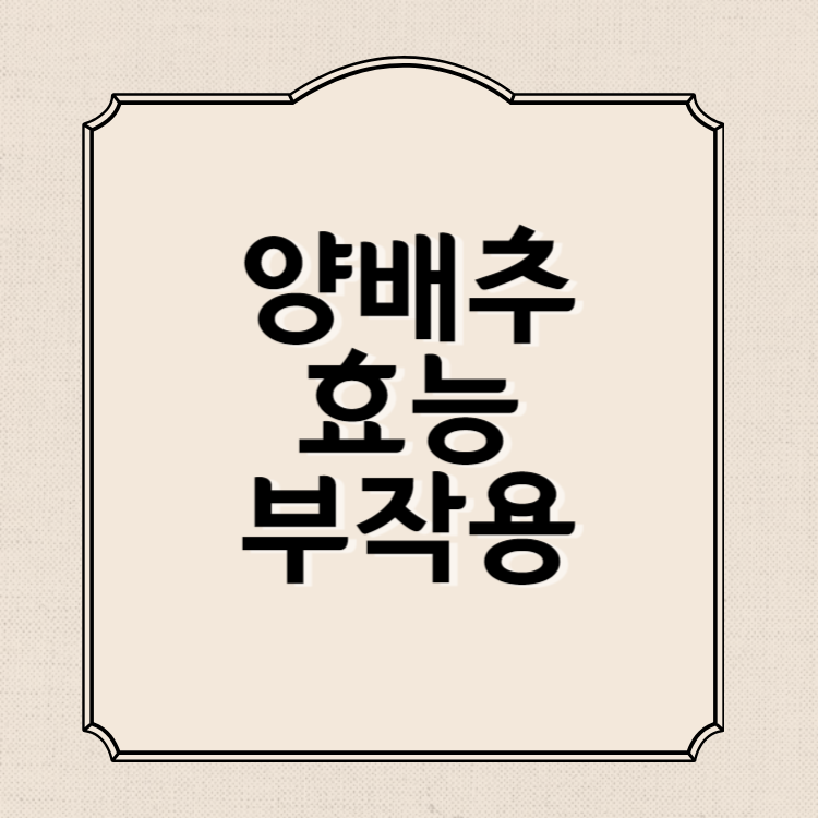 양배추 효능과 부작용, 영양성분