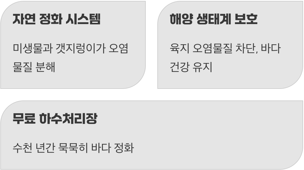 바다를 지키는 거대한 정수기