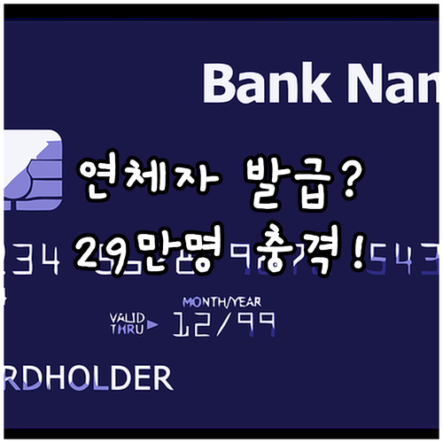 연체 상환자 29만 명 신용카드 발급..