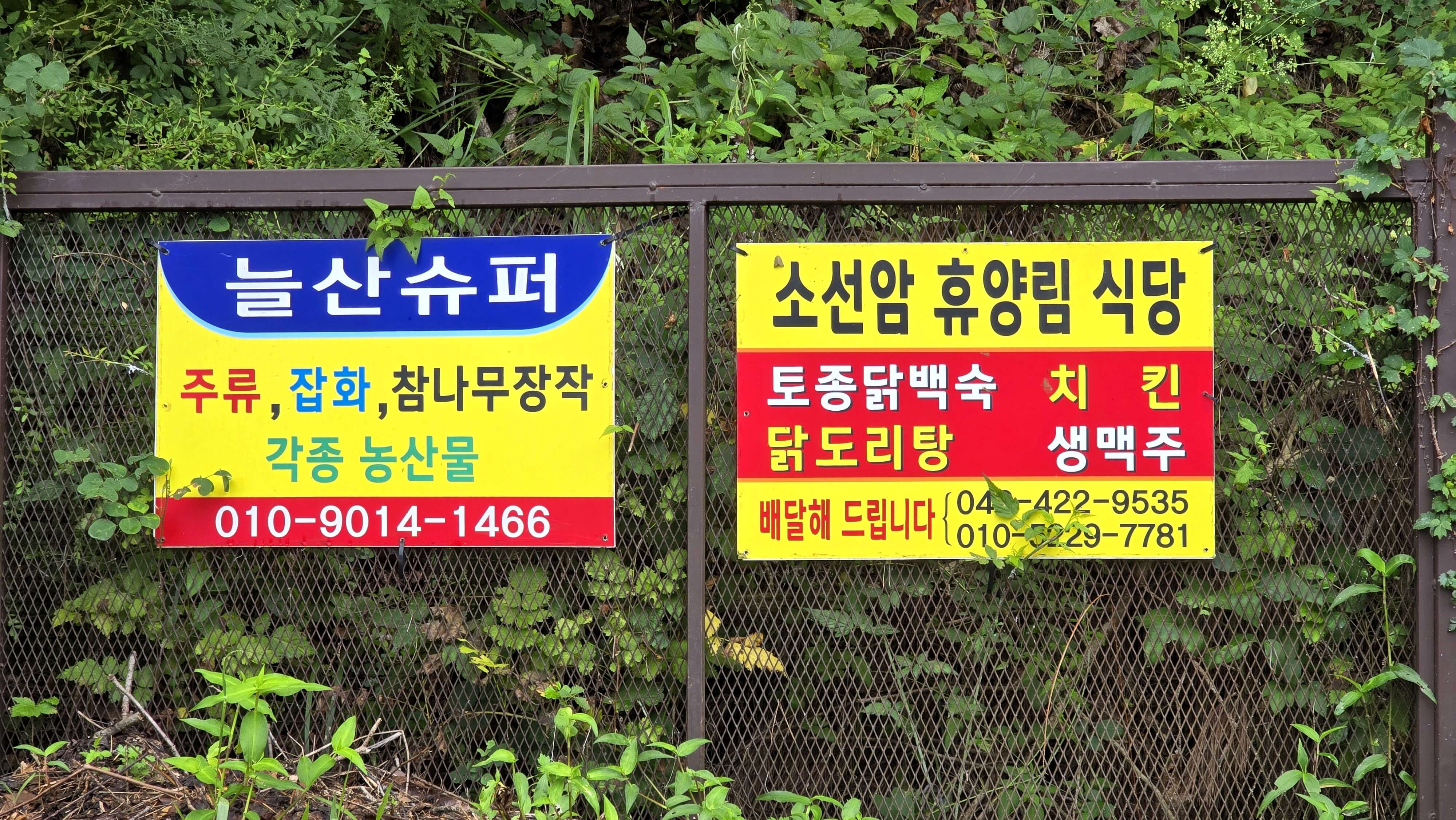 단양 하선암 야영장∣예약 꿀팁 및 명당 추천&amp;#44; 카라반 전용 야영장