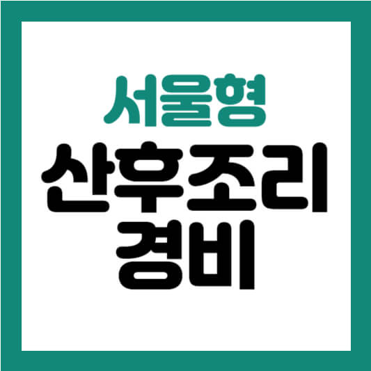 서울형 산후조리경비