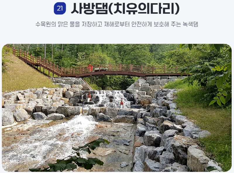 물맑음 수목원