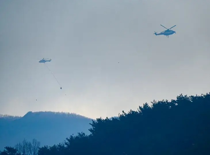2025년 첫 산불 3단계 발령, 경남 산청 산불 피해 상황과 이후 계획은?