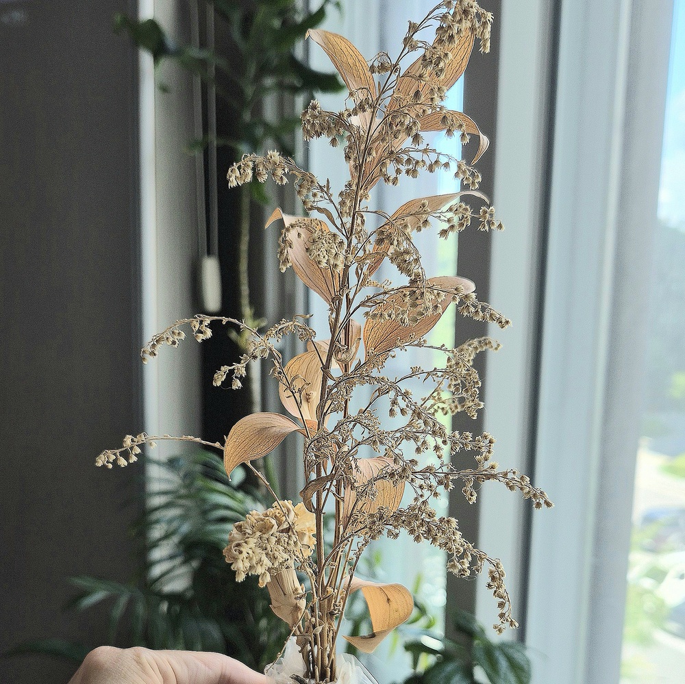 바짝 마른 시든 생화를 일반쓰레기로 정리하기 전 모습