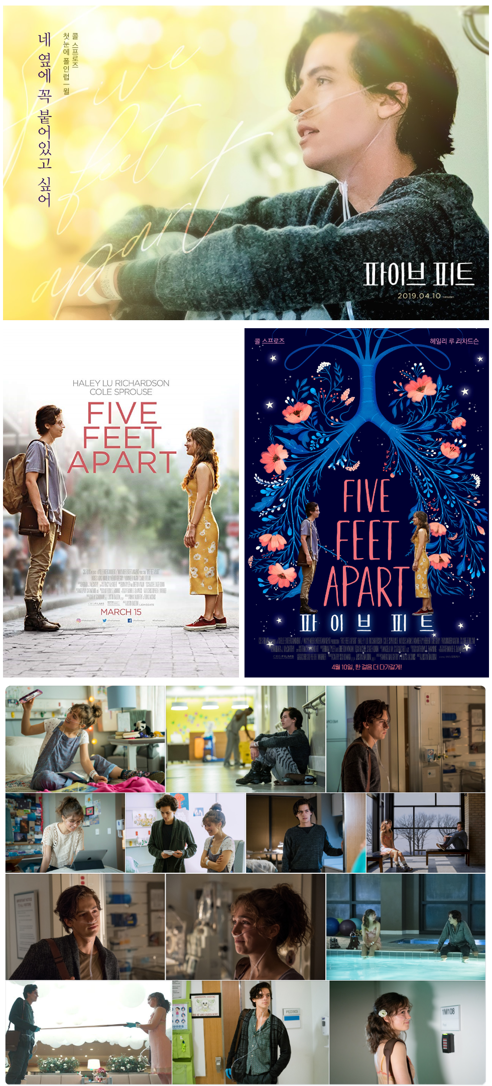 영화 파이브피트 이미지