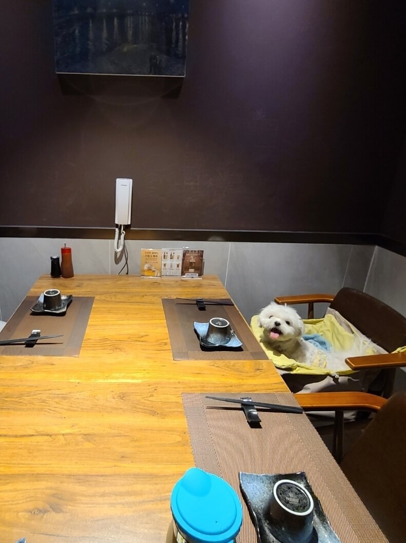 애견동반술집 하루인